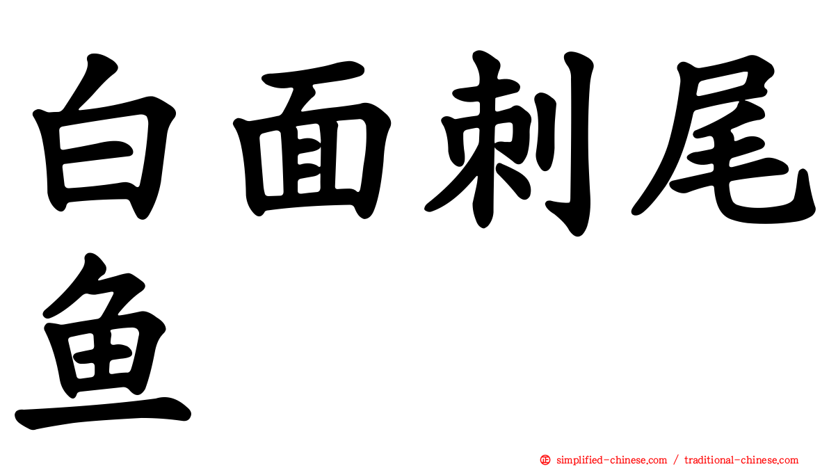 白面刺尾鱼