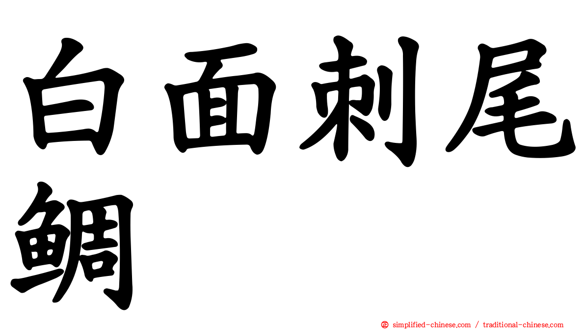 白面刺尾鲷