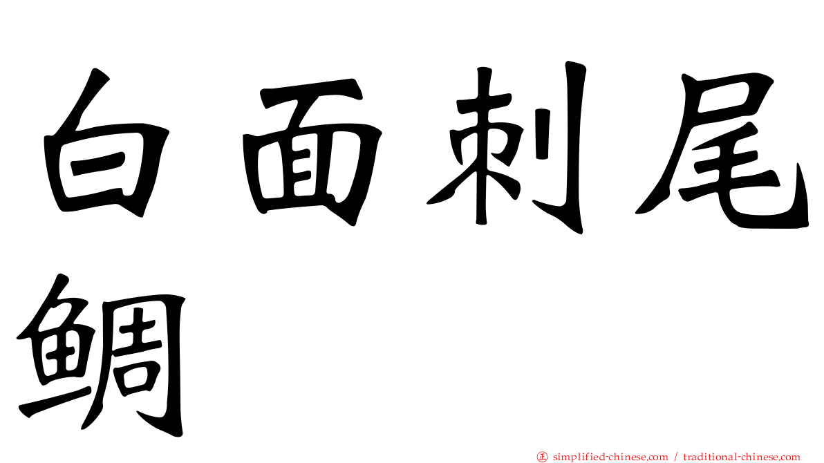 白面刺尾鲷