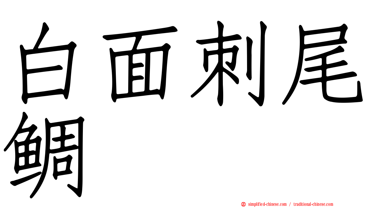 白面刺尾鲷