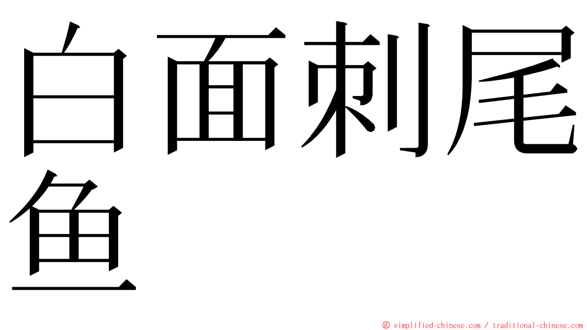 白面刺尾鱼 ming font