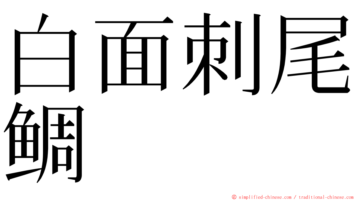 白面刺尾鲷 ming font