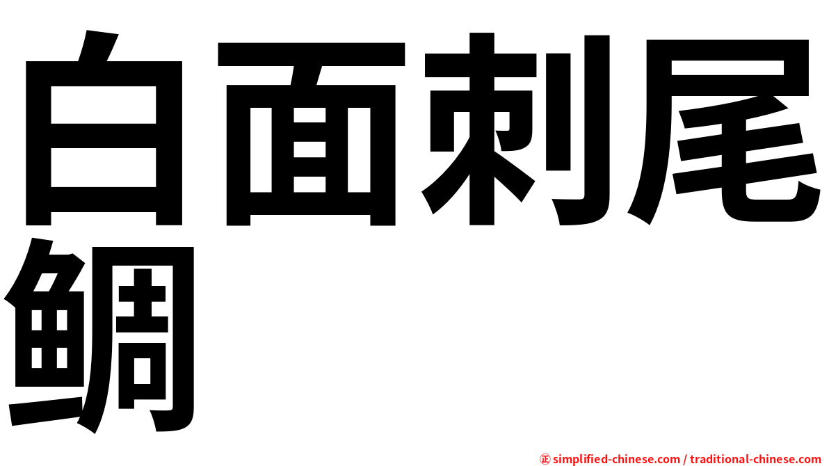 白面刺尾鲷