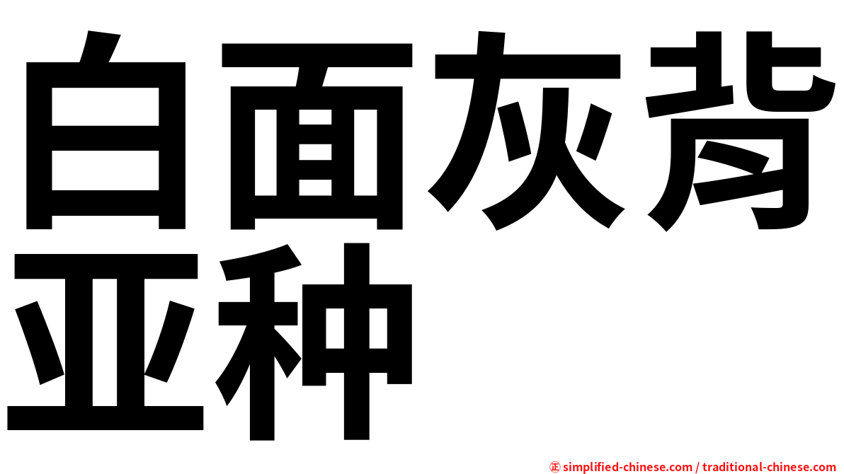 白面灰背亚种