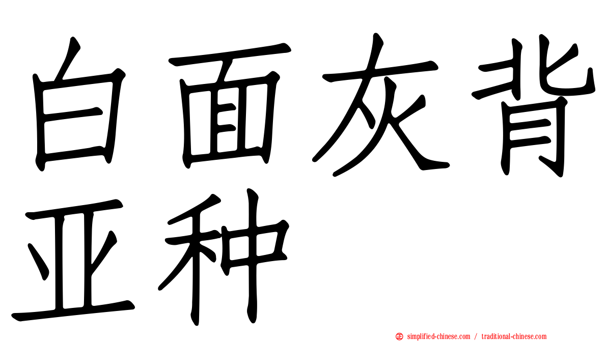 白面灰背亚种