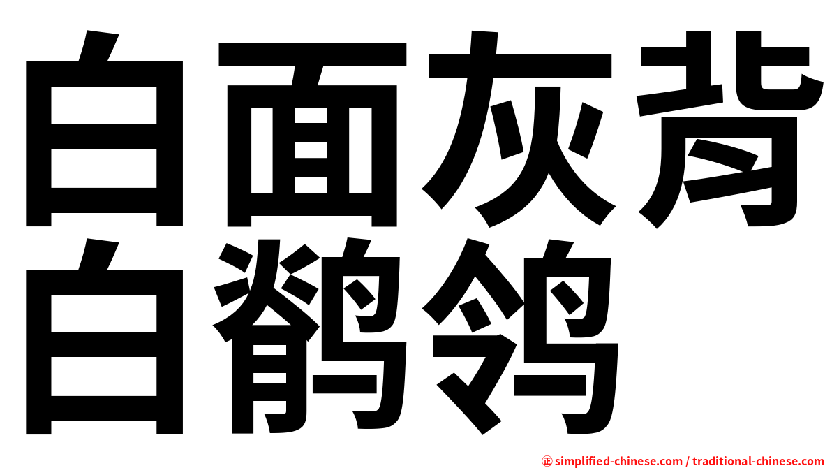 白面灰背白鹡鸰
