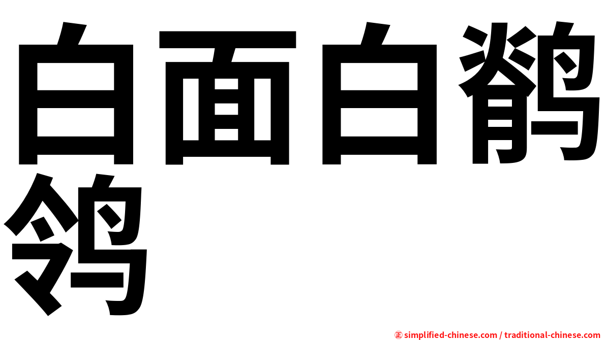 白面白鹡鸰