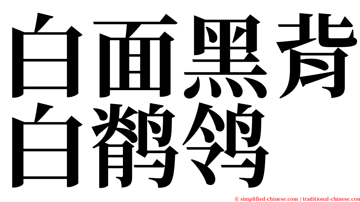 白面黑背白鹡鸰 serif font