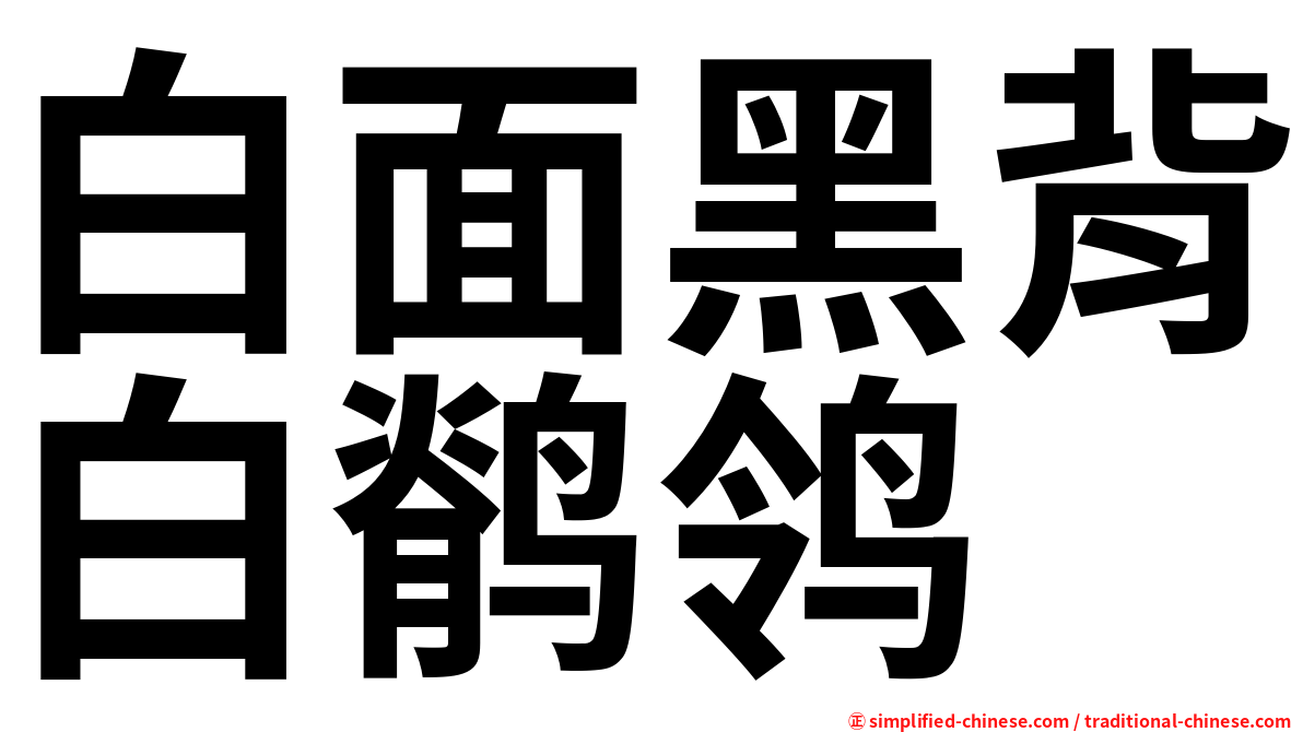 白面黑背白鹡鸰
