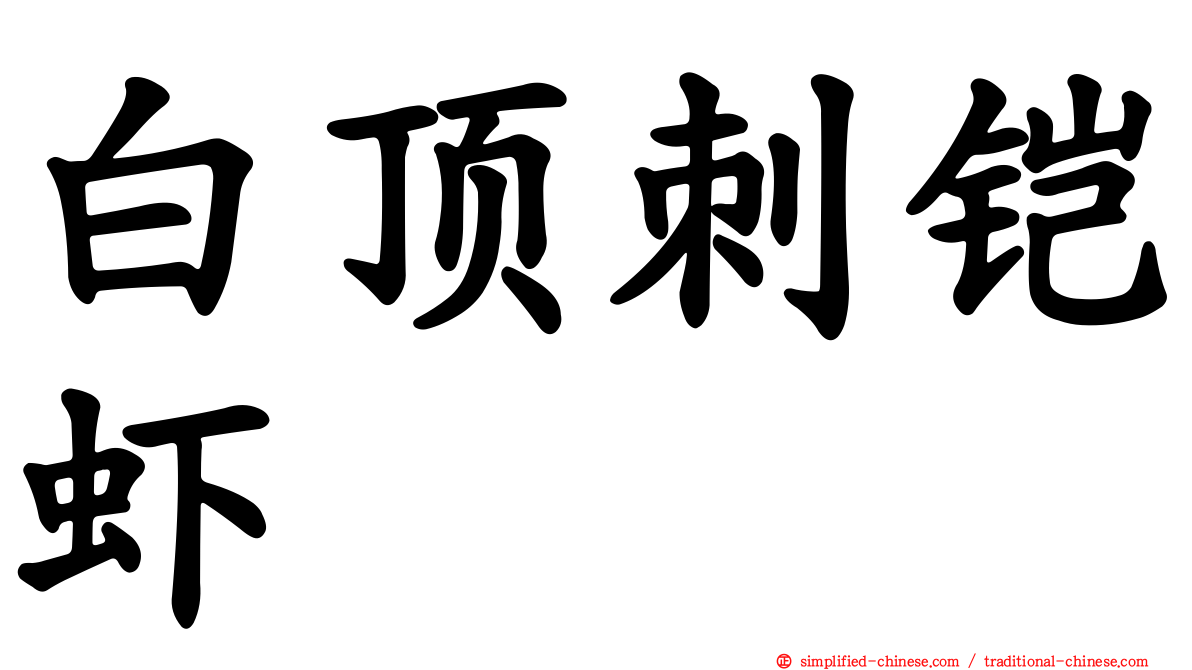 白顶刺铠虾