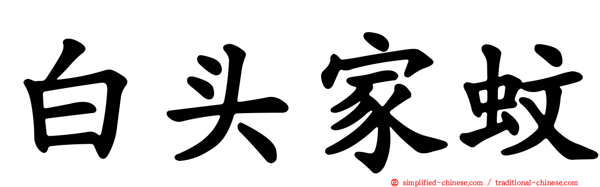 白头家蚊