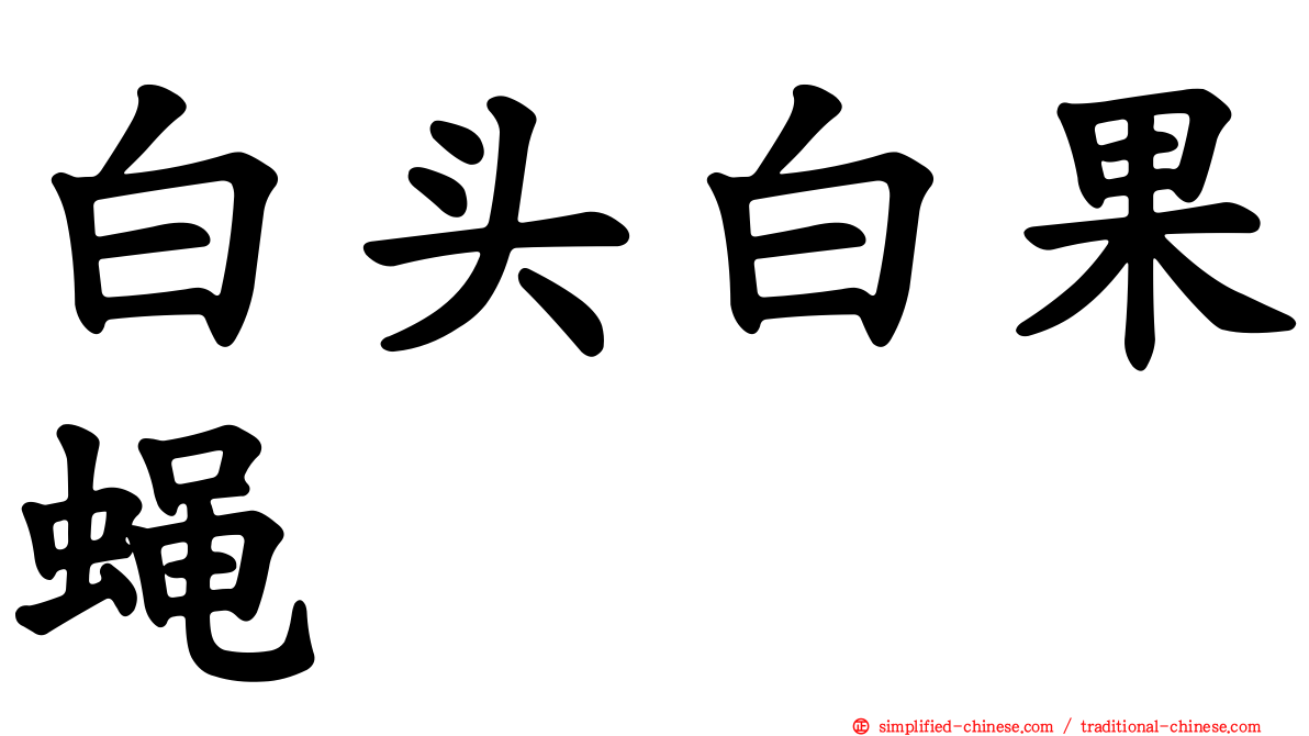 白头白果蝇