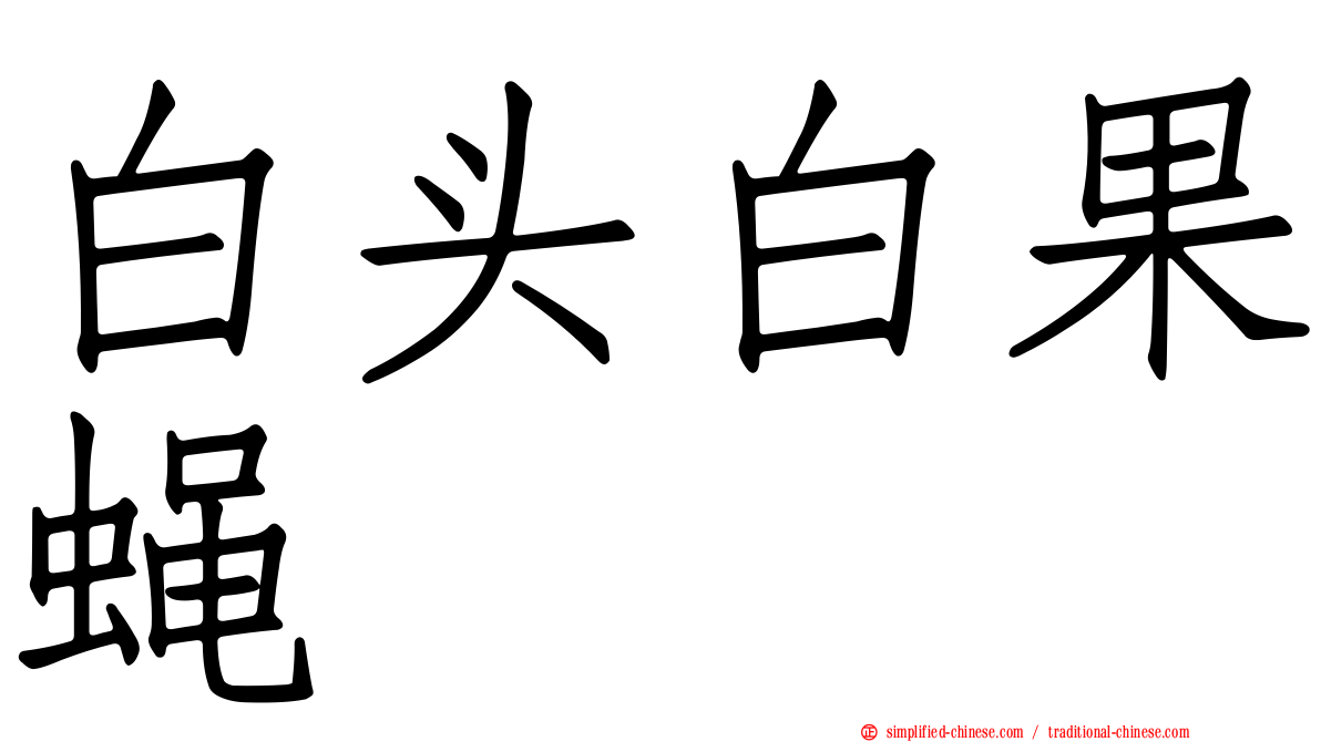 白头白果蝇