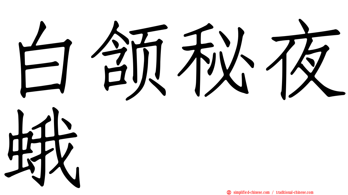 白颔秘夜蛾