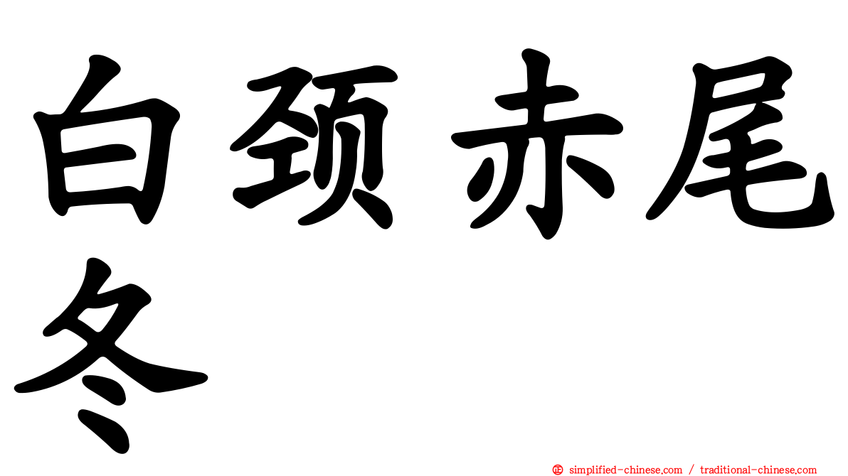 白颈赤尾冬