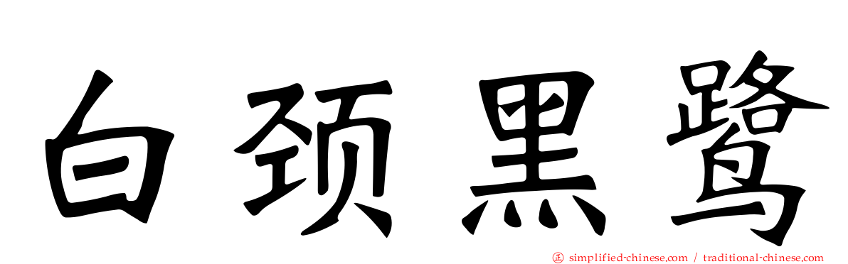 白颈黑鹭