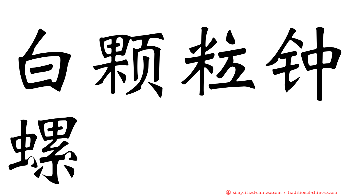 白颗粒钟螺
