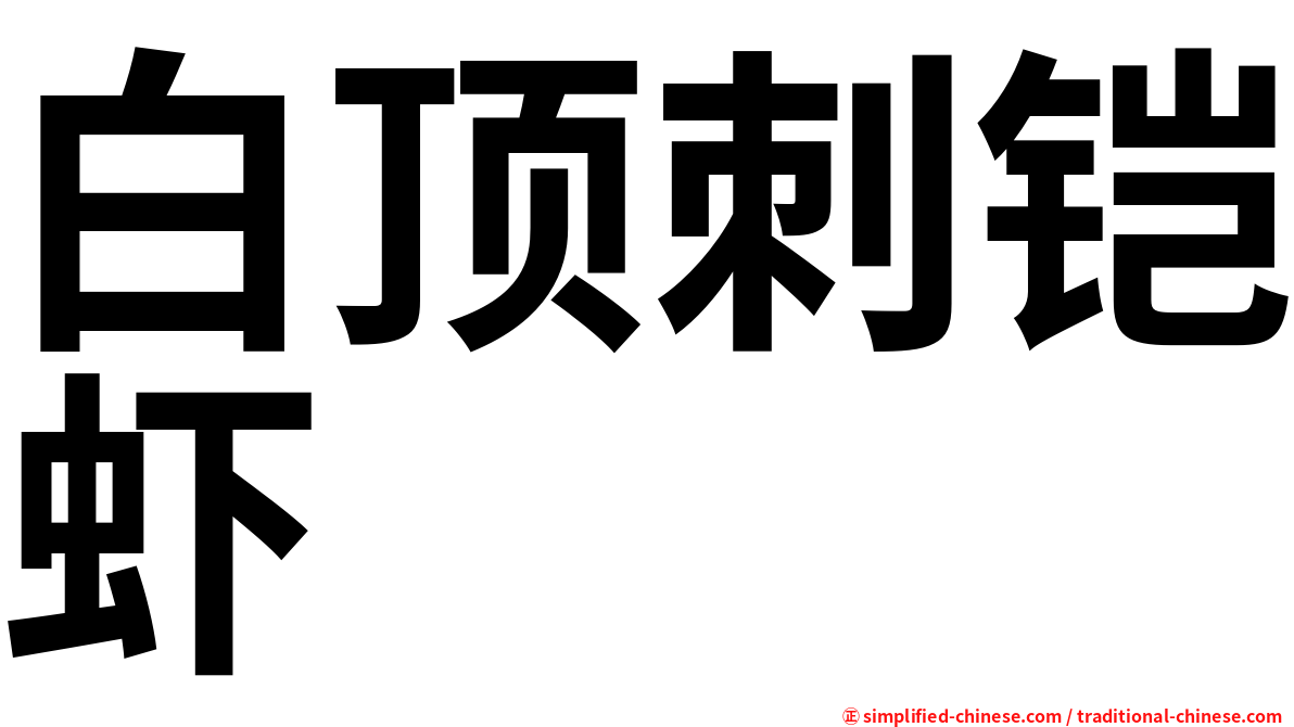 白顶刺铠虾