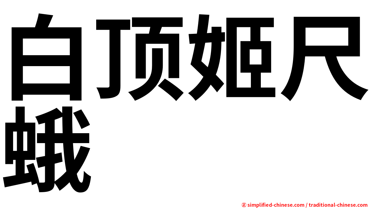 白顶姬尺蛾