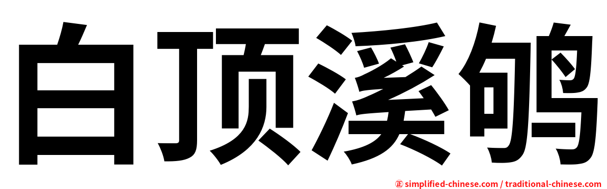 白顶溪鸲