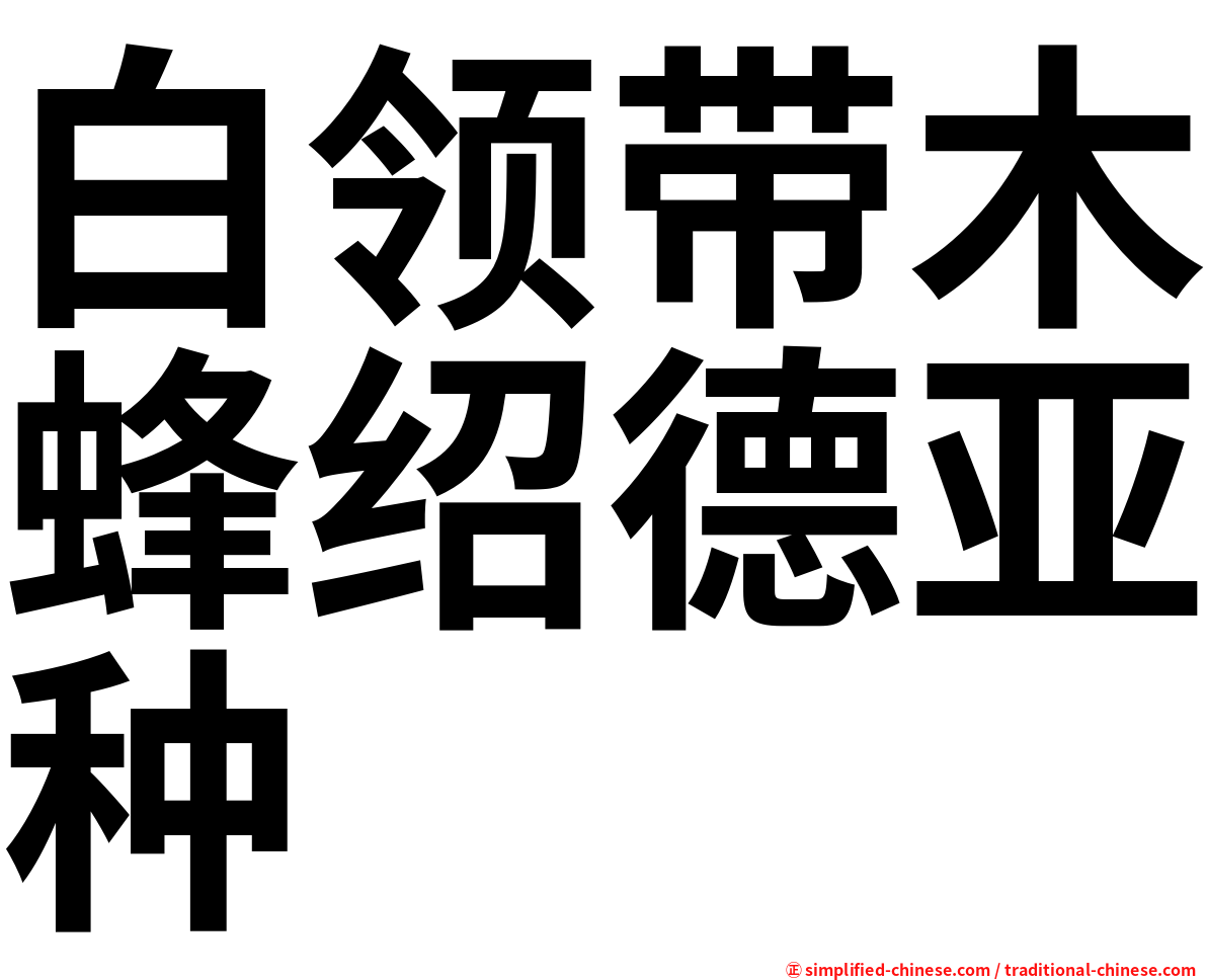 白领带木蜂绍德亚种