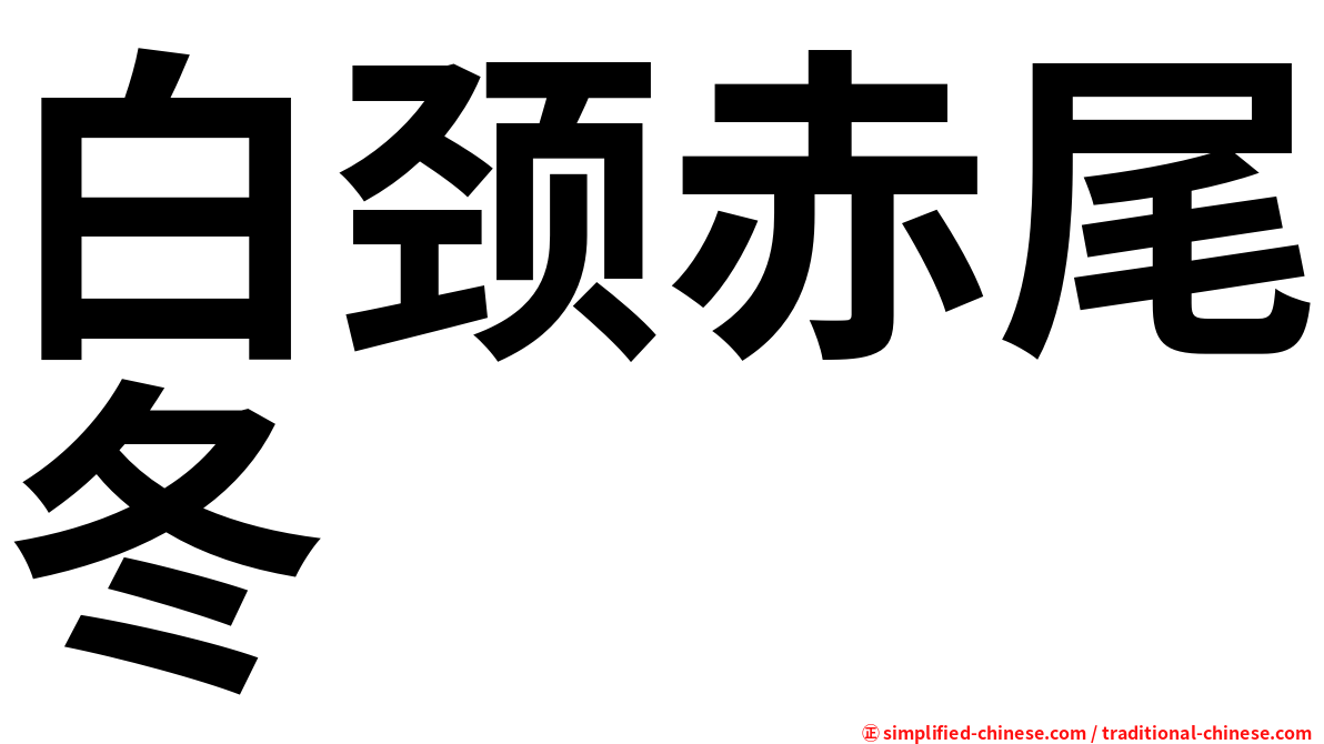 白颈赤尾冬