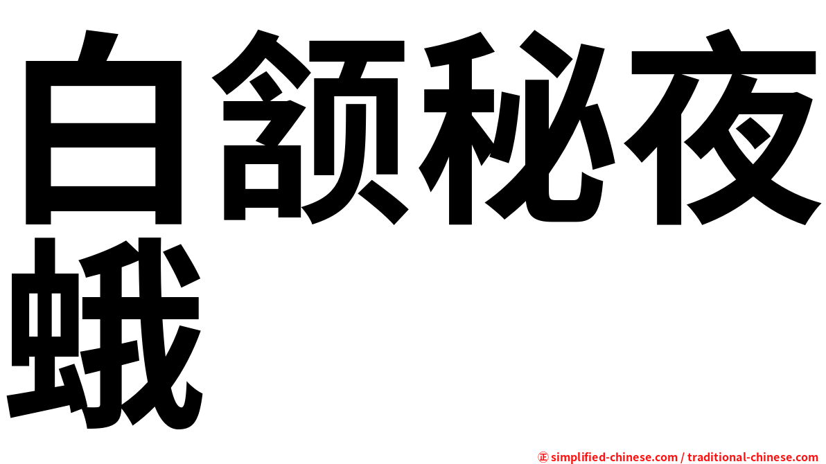 白颔秘夜蛾