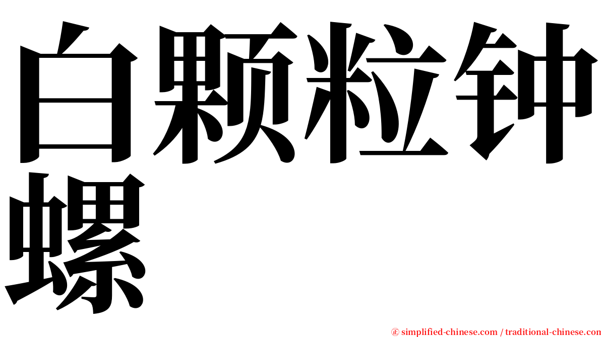 白颗粒钟螺 serif font