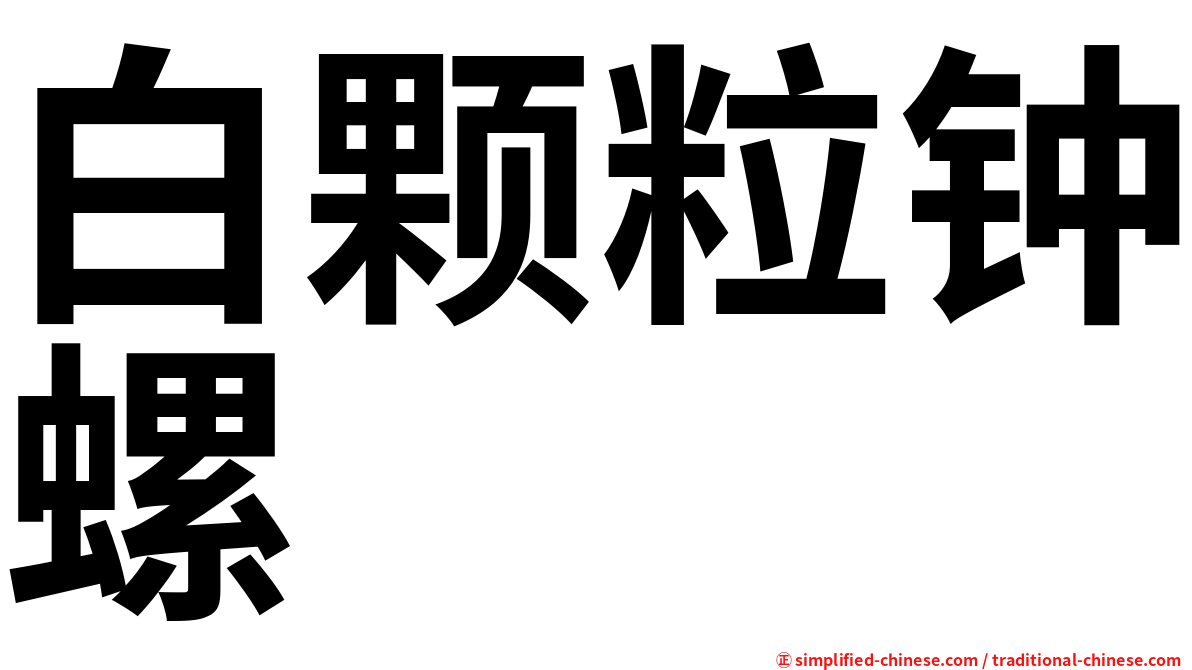 白颗粒钟螺