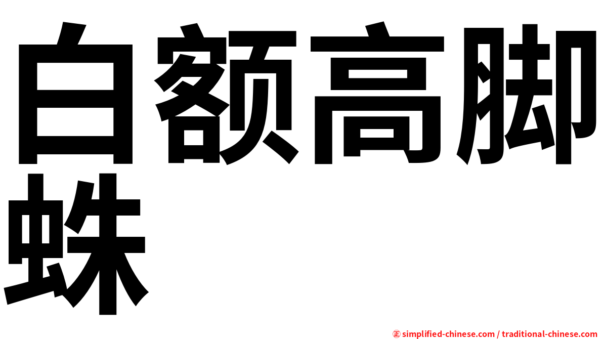 白额高脚蛛