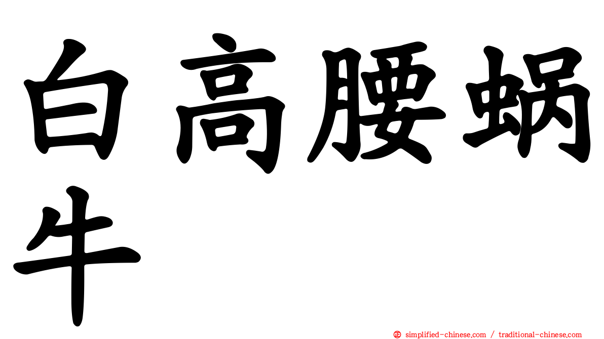白高腰蜗牛