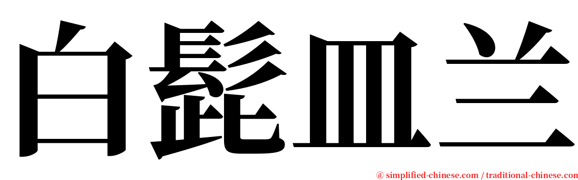 白髭皿兰 serif font