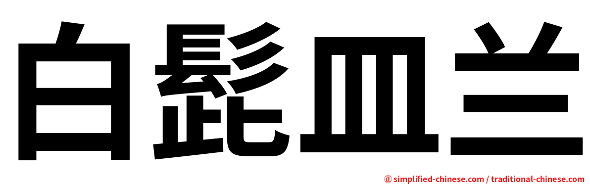 白髭皿兰