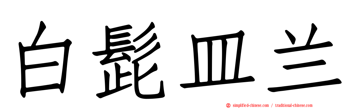 白髭皿兰