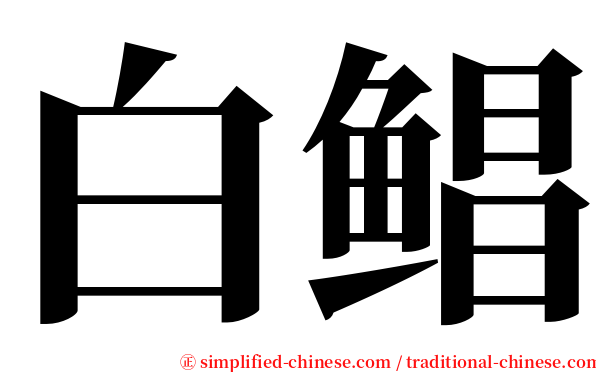 白鲳 serif font