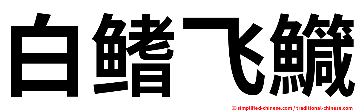 白鳍飞鱵