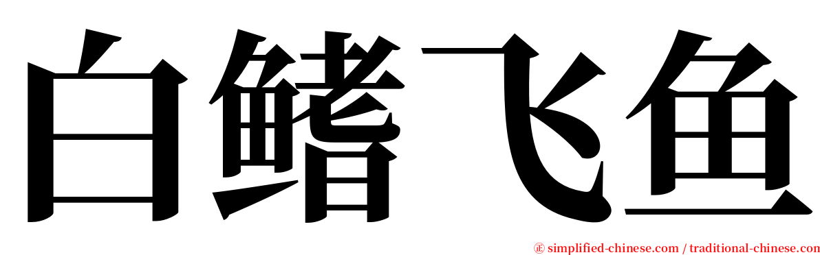 白鳍飞鱼 serif font
