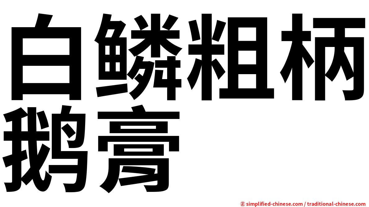 白鳞粗柄鹅膏