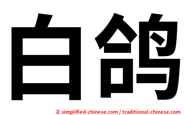 白鸽