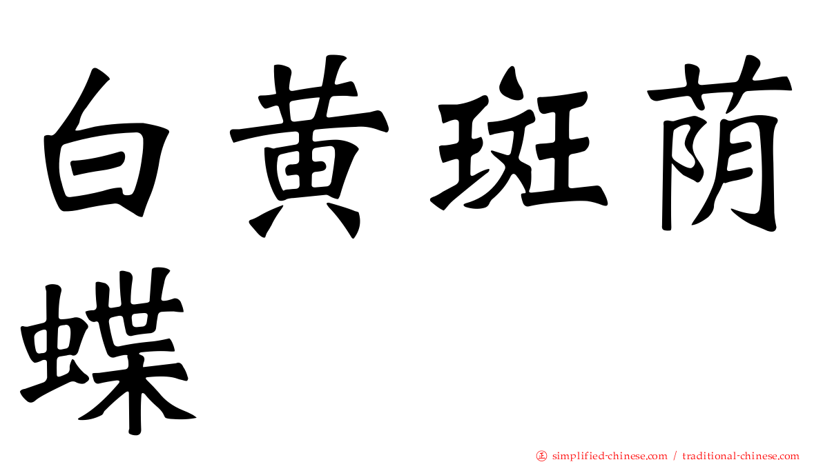 白黄斑荫蝶