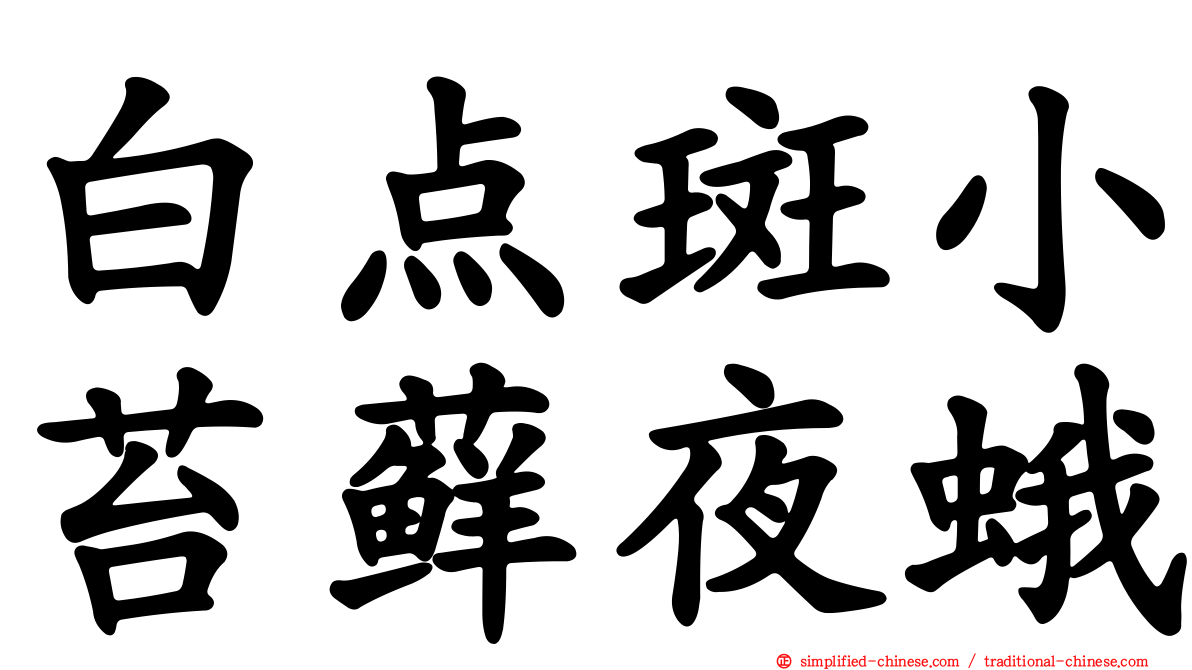 白点斑小苔藓夜蛾