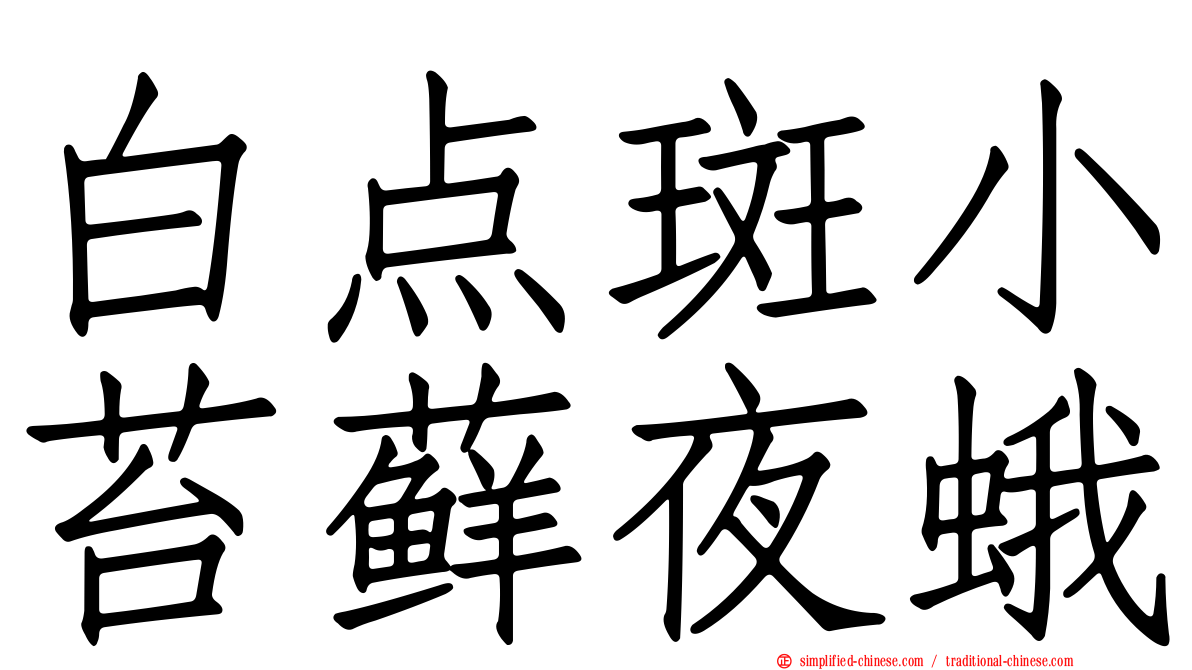 白点斑小苔藓夜蛾