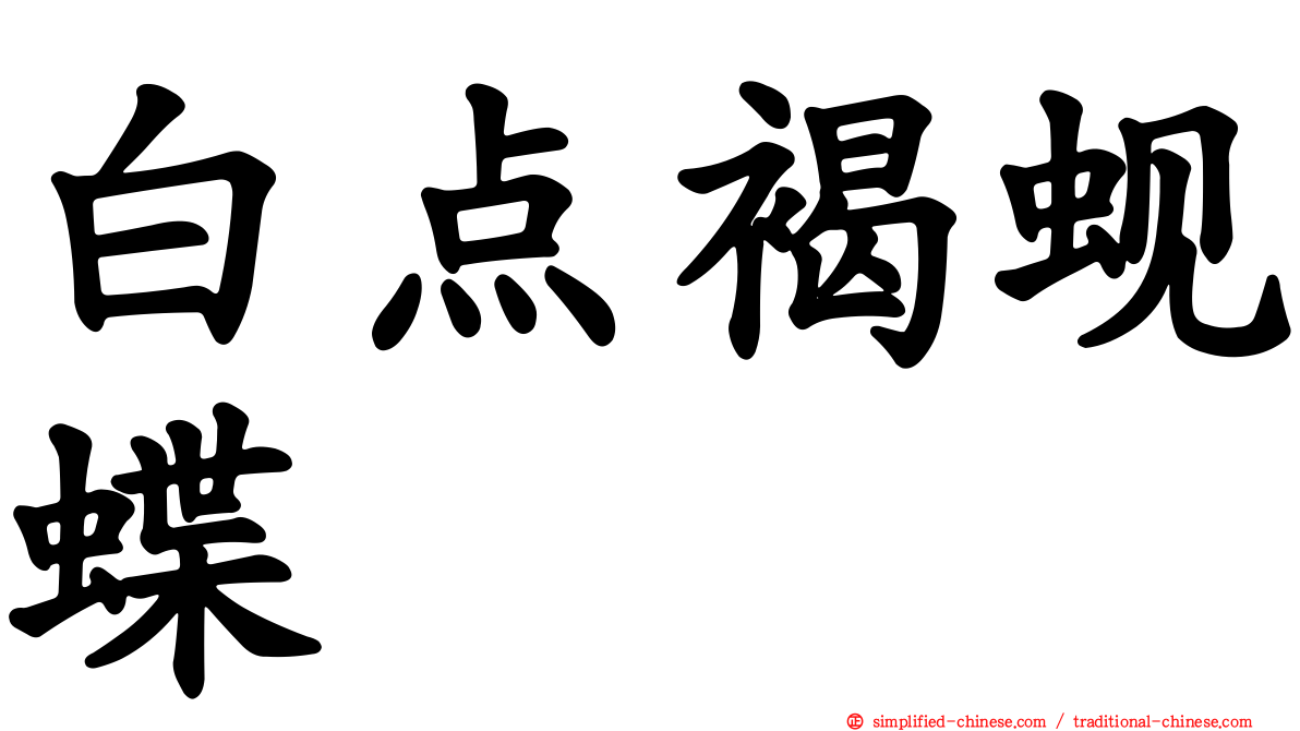 白点褐蚬蝶