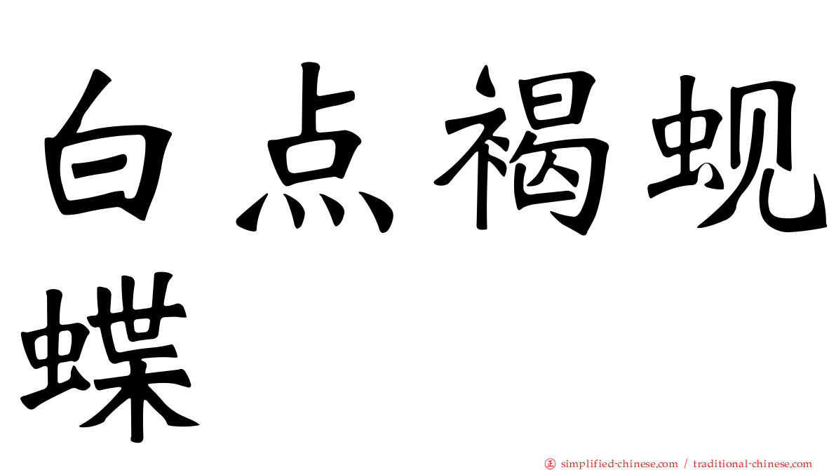 白点褐蚬蝶