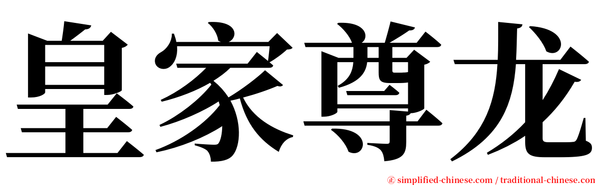 皇家尊龙 serif font