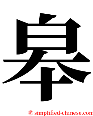 皋 serif font