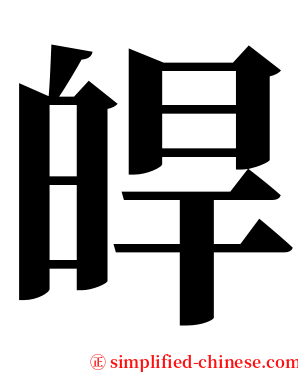 皔 serif font
