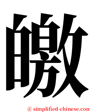 皦 serif font