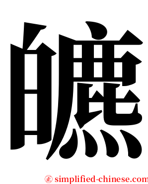 皫 serif font