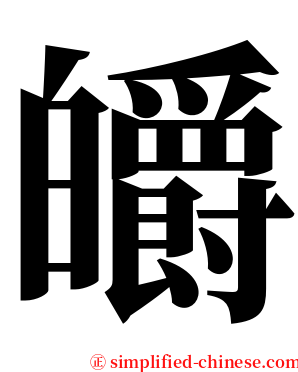 皭 serif font